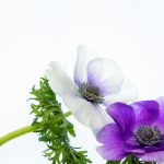 暖暖视频免费社区 030ri