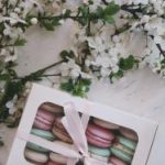 大象蕉视频在线观看75 0mcxznwz1