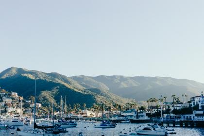 大香伊蕉人在播放2019 大香伊蕉人在播放2019