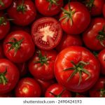 国产香蕉熟妇在线影院 1y8r7x89f3