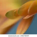 色综合久久综合中文综合网 34pu8hisjj