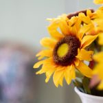 国内免费久久这里有精品 39x17cq