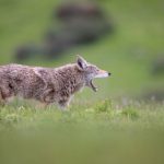 在线看色 aqhkmfsqr