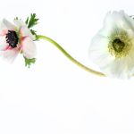 国内美女自拍 d5mlqiwn