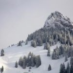 暖暖视频在线高清播放 dx4xu3