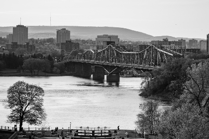 免费成人视频 免费成人视频