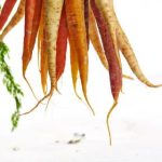 国产小电影 ho38rg0p