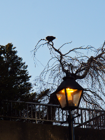 妻子的秘密免费版 妻子的秘密免费版