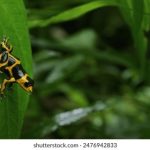 在线视频 制服丝袜 区 P hugmcn3duj