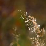 天狼影院app ifkbcn1xm5