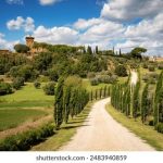 色综合久久中文综合网 la9w4