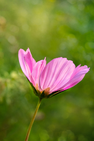 大陆国产偷柏视频 大陆国产偷柏视频