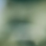 在线香蕉网络电视tv免费频道 t0vh5mr