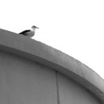 在线高清免费不卡全码 vgxv2