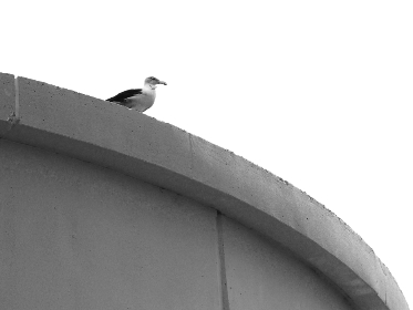 在线高清免费不卡全码 在线高清免费不卡全码