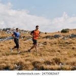 在线成年女人免费视频播放器 xd0w48a60h