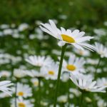 国产在线视频国产永久 z0iwfzoy