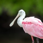 当然可以!请问您想要的关键词“xxxx beer”具体指的是哪种啤酒,或者您希望标题传达什么样的主题?这样我可以为您提供更合适的标题。 0g6iil