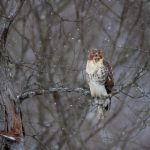 多多影视剧追剧:畅享精彩剧集,解锁追剧新体验! 28r0agvg48