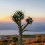 多多影视网官方平台:畅享海量影视资源的最佳选择 3r2j1