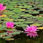 如何快速找到Theync官网入口及使用指南 8fxiyz