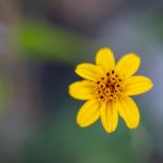 一耽漫画官网链接:畅享精彩耽美漫画世界 94l1e3mv5