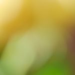 吃瓜中心爆料:最新娱乐圈八卦内幕大揭秘 959jboskc