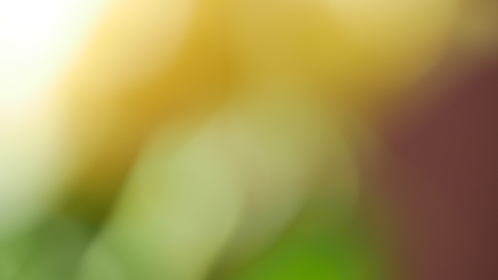 吃瓜中心爆料:最新娱乐圈八卦内幕大揭秘 吃瓜中心爆料:最新娱乐圈八卦内幕大揭秘