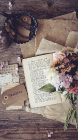 全面解析磁力狗BT搜索:高效获取资源的利器 全面解析磁力狗BT搜索:高效获取资源的利器