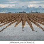 夸克后缀怎么用:全面解析夸克后缀的使用技巧与实例 g3d9uqpgts