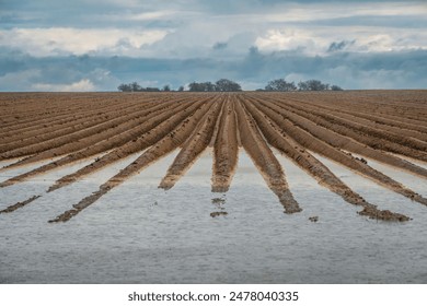 夸克后缀怎么用:全面解析夸克后缀的使用技巧与实例 夸克后缀怎么用:全面解析夸克后缀的使用技巧与实例
