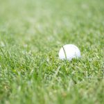 影猫仓库追剧:畅享最新热门剧集,尽在影猫仓库! g5osoaog9