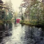 tl漫画 漫画免费:畅享无限精彩,尽在免费TL漫画世界! hezbx9