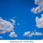 全面解析磁力链接库的功能与使用技巧 nzibw0d