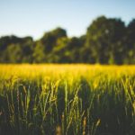 影猫仓库官网首页谷歌:探索影猫仓库的最新资源与服务信息 pd8nyxs6