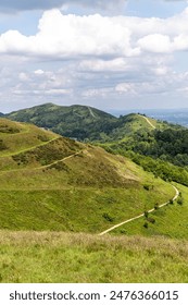 全面解析磁力种子搜索网站的使用技巧与推荐 全面解析磁力种子搜索网站的使用技巧与推荐