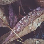 吃瓜中心cg02:揭秘最新娱乐八卦,带你畅游明星动态! rx93n0vyt