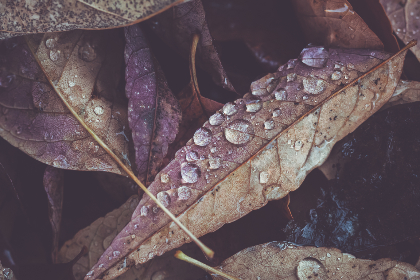 吃瓜中心cg02:揭秘最新娱乐八卦,带你畅游明星动态! 吃瓜中心cg02:揭秘最新娱乐八卦,带你畅游明星动态!