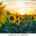 一耽网登入 漫画:探索精彩耽美世界的入口与推荐 v5w0ugj