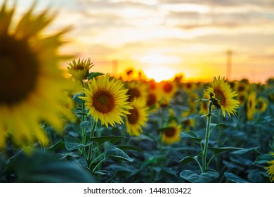 一耽网登入 漫画:探索精彩耽美世界的入口与推荐 一耽网登入 漫画:探索精彩耽美世界的入口与推荐