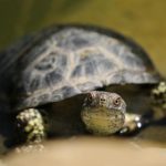 多多影院tv:畅享海量影视资源,尽在掌握之中! zit0j2q326